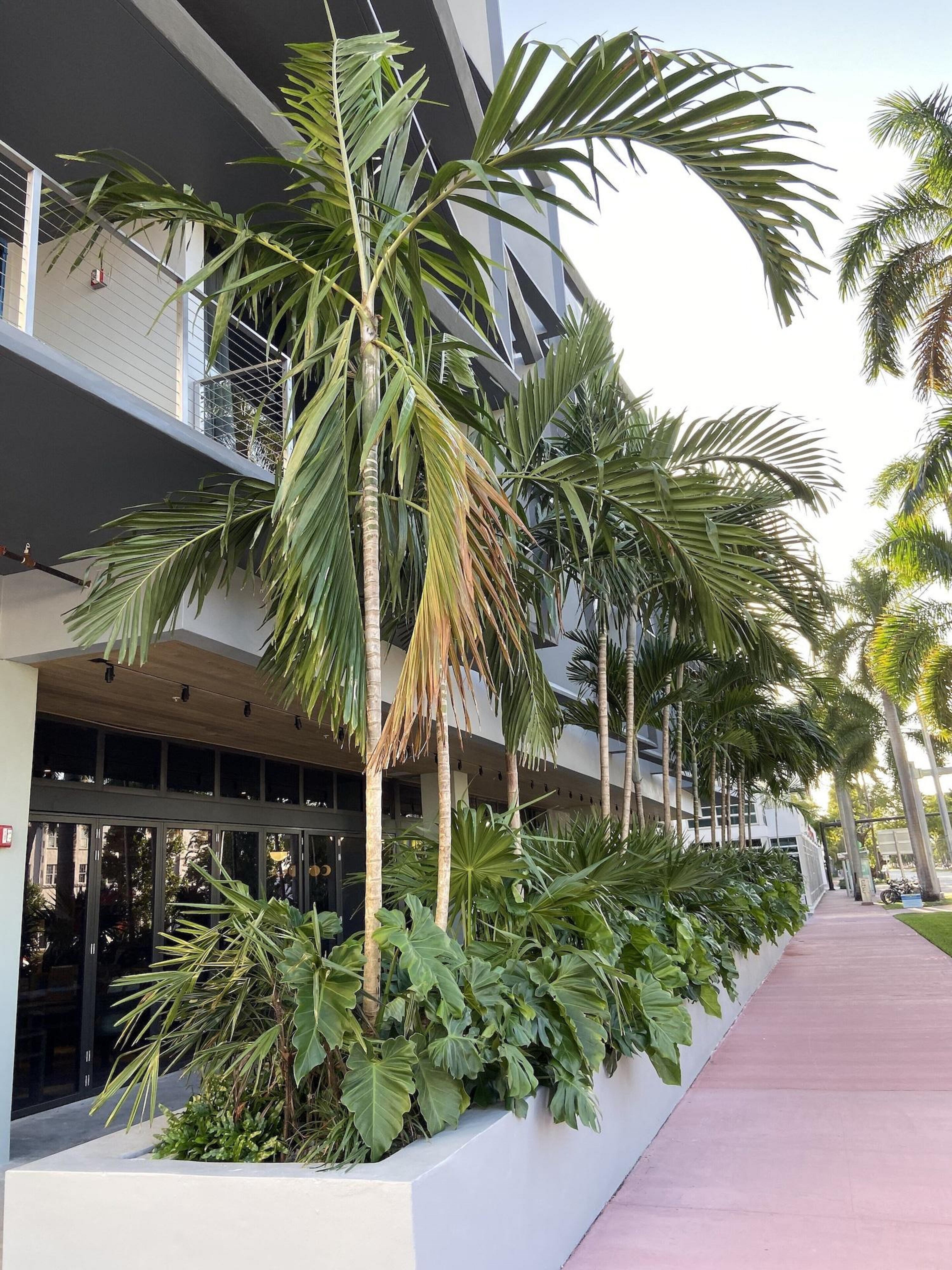 Hotel Urbanica Euclid Miami Beach Exterior foto